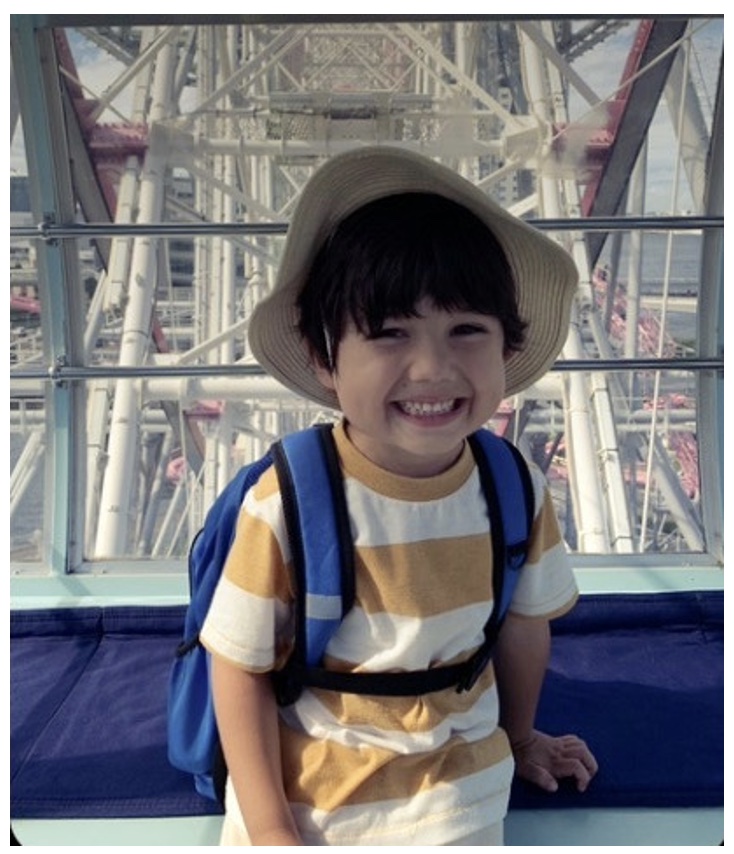 width=734